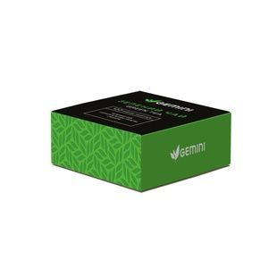 Herbata zielona Green w torebkach bez koperty 100 szt